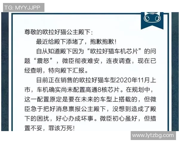 重庆与武汉排球队赛后复盘分析团队配合与战术执行的关键因素