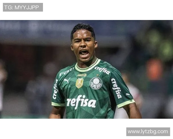 足球明星埃德森的传奇之路与辉煌成就揭秘